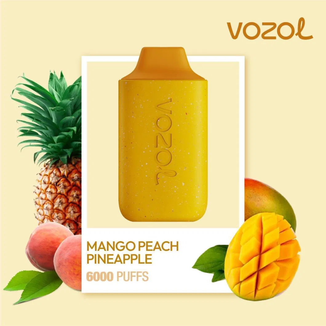 Shenzhen Factory Direct Sales Vozol Star 6000 Is a Disposable Device Prefilled with 14ml Nicotine Salt E-Liquid Wholesale I Vape